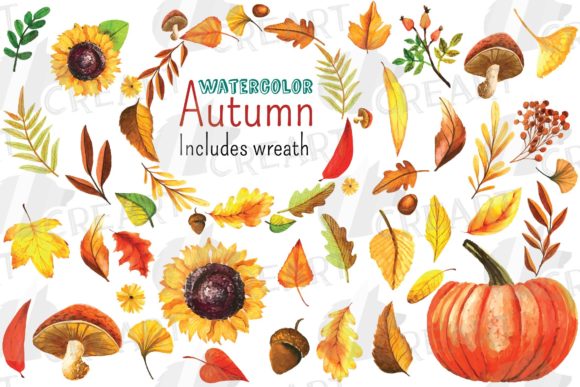 Autumn Leaves, Pumpkin, Sunflower, Nuts Graphics & Print Templates