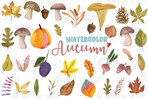 Fall Mushroom, Leaves, Pumpkin