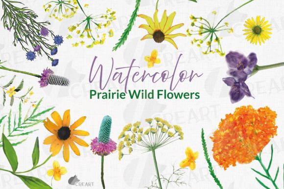 Prairie Grasses and Wildflowers Clip Art: Graphics for Print Templates