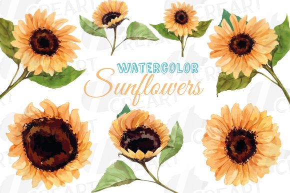 Sunflower Watercolor Decoration Clip Art: Graphics & Print Templates